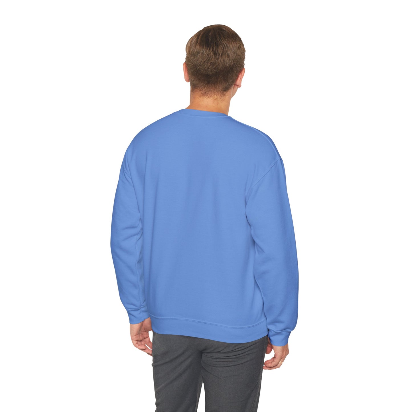Quirky Silly Goose Graphic Crewneck Sweatshirt